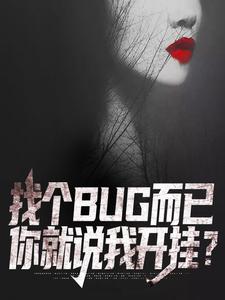 找bug什么意思