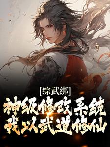 综武之仙武系统