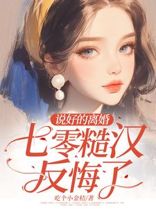 说好离婚你别怂全文