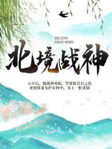 北境战神白九霄全文免费阅读