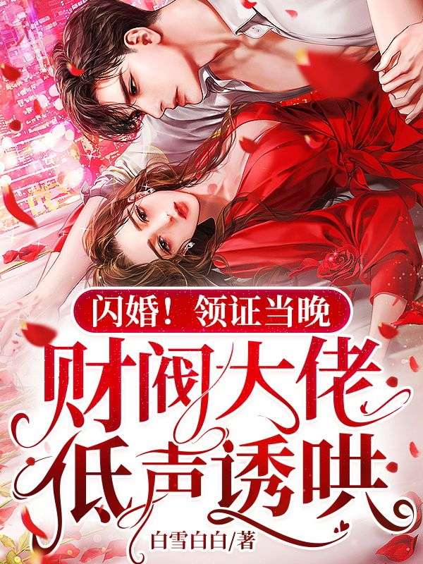 闪婚领证:老公竟是总裁