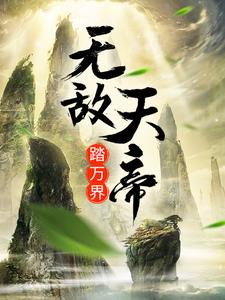 无敌天帝 百科